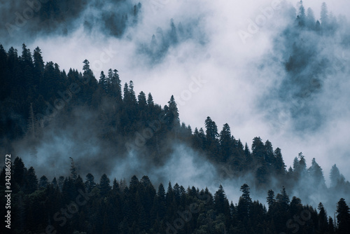 fog over the mountains 
