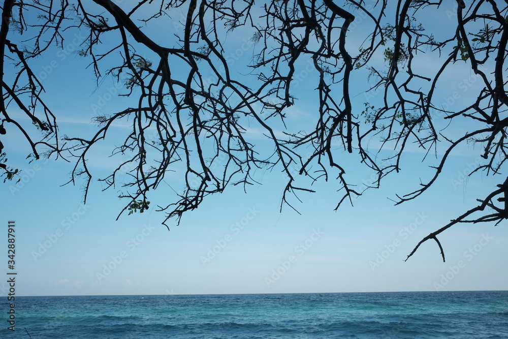 The branch of the trees create beautiful tree frames with the blue ocean at the background in Sabang, Indonesia. This island is one of the most popular tourist destinations in Medan. The branch of the trees create beautiful tree frames with the blue ocean at the background in Sabang, Indonesia. This island is one of the most popular tourist destinations in Medan.
