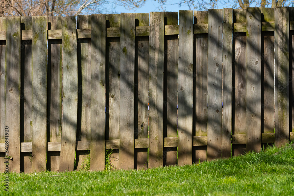 Fototapeta premium Wooden Fence