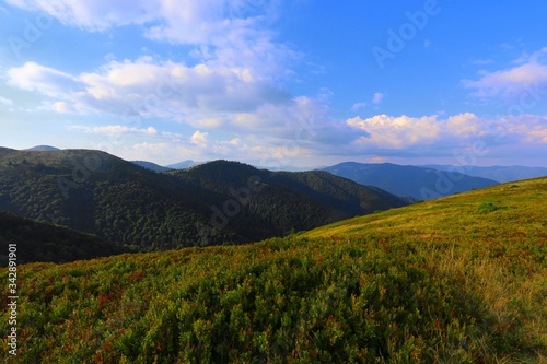 summer nature image in the mountains, scenic morning view on meadow on the hill of mountain on background of valley at morning dawn sunlight and stunning blue sky, Europe, Ukraine, Carpathians