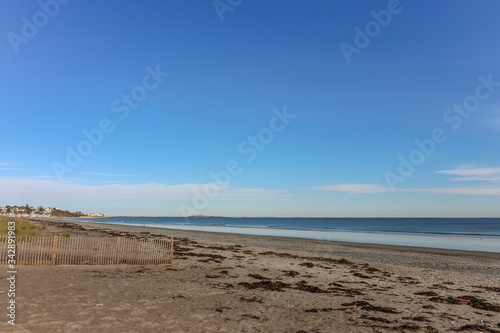 seascape of dirty beach with seaweed and ocean and sky in background