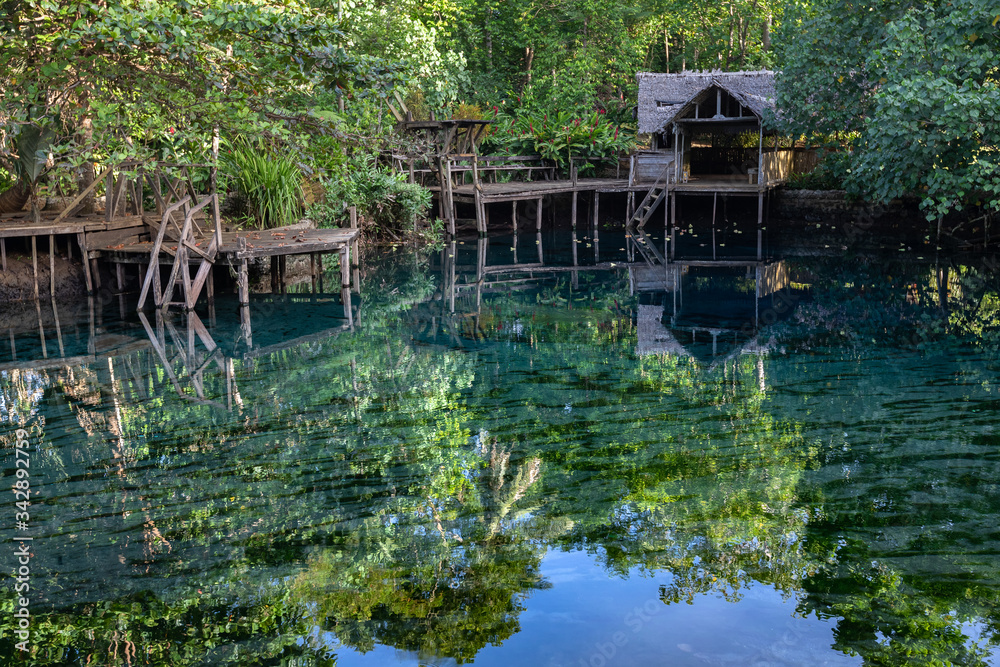 lush rainforest around freshwater blue lagoon blue hole Espirito Santo island Vanuatu Oceania	