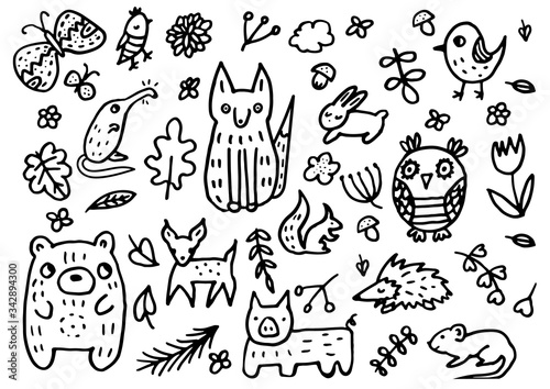 Doodle background with forest animals: desman, fox, bird, hedgehog, butterfly, hare, rabbit, deer, squirrel owl, bear, boar, deer, roe deer, mouse photo