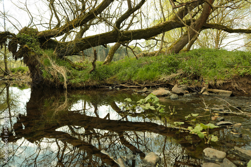 Ein tag am Bach