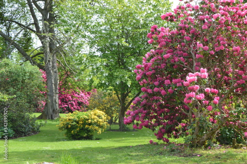 Scone Palace Gardens, Perth, Scotland