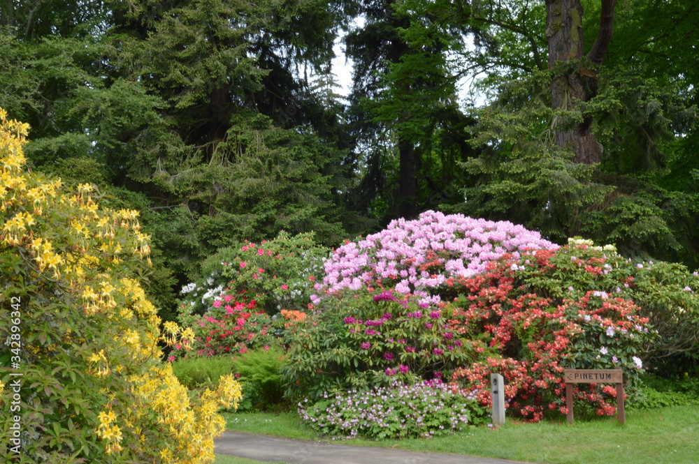 Obraz premium Scone Palace Gardens, Perth, Scotland