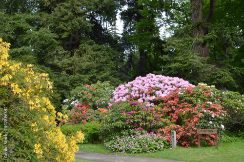 Scone Palace Gardens  Perth  Scotland