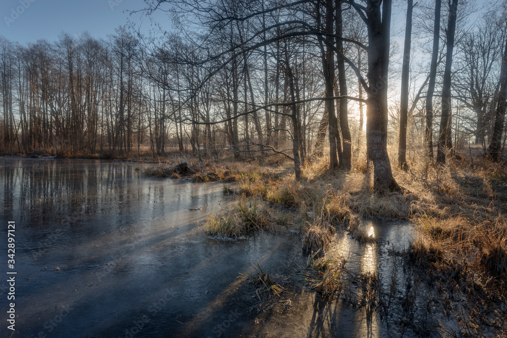 Obraz premium river in autumn