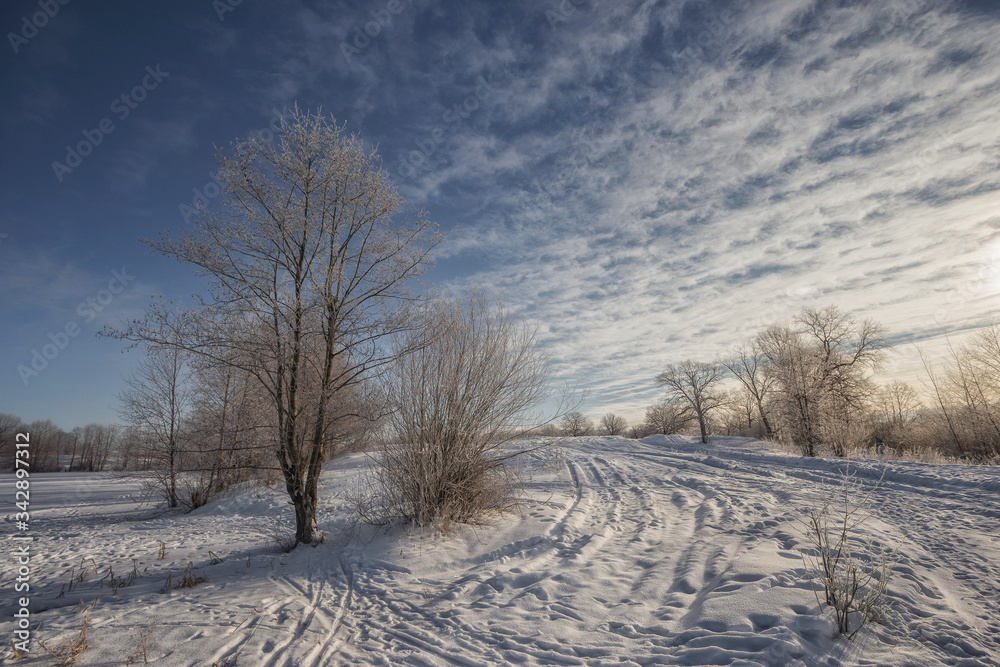 Obraz premium winter landscape with snow