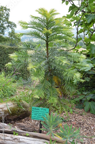 Beautiful Devonshire countryside and gardens near Newton Abbot photo