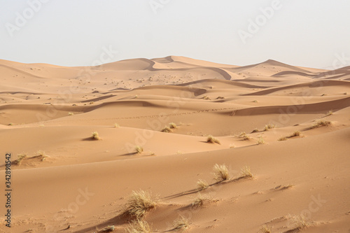 Sand dunes in the Merzouga Sahara desert - Morocco