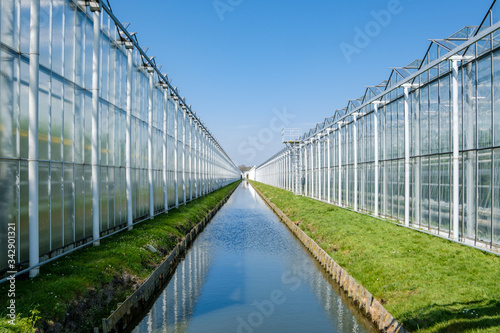 Valokuva Perspective view of a modern industrial greenhouse for tomatoes in the Netherlan