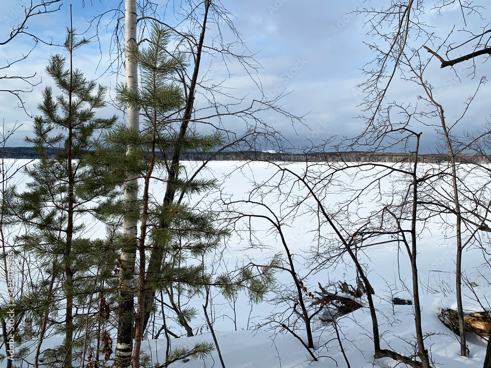 Obraz premium Russia, Chelyabinsk region. Trees on the shore of Elm island on lake Uvildy in sunny winter day