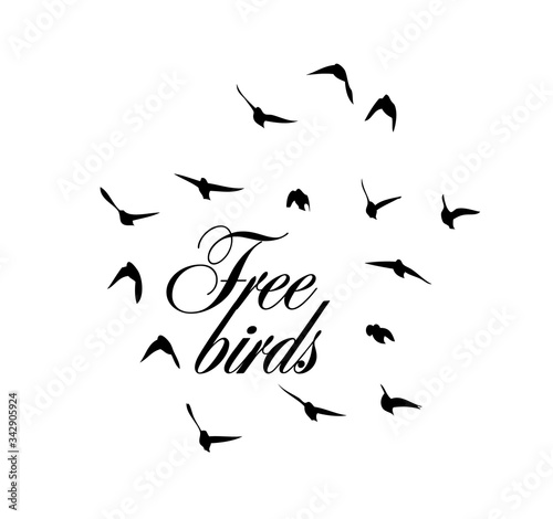 A flock of flying silhouette birds. Vector illustration