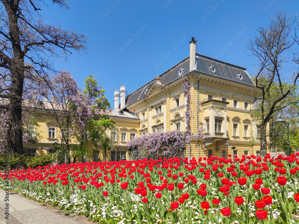 Spring view of National Art Gallery, Sofia