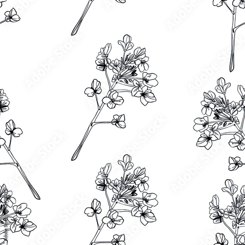 seamless pattern with canola yellow flowers