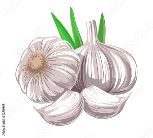 Garlic with leaves. Simple version. 