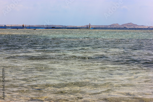 Emerald blue clear clear water and a view of the horizon  in the foreground black stones and green algae  vacation on the Red Sea coast in summer.