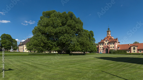 Linde im Schloßpark Altshausen in Altshausen