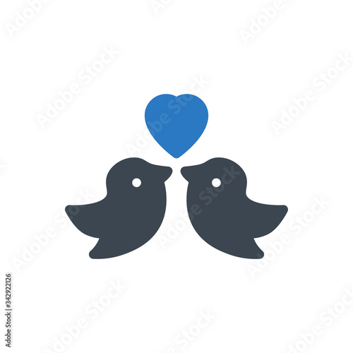 birds