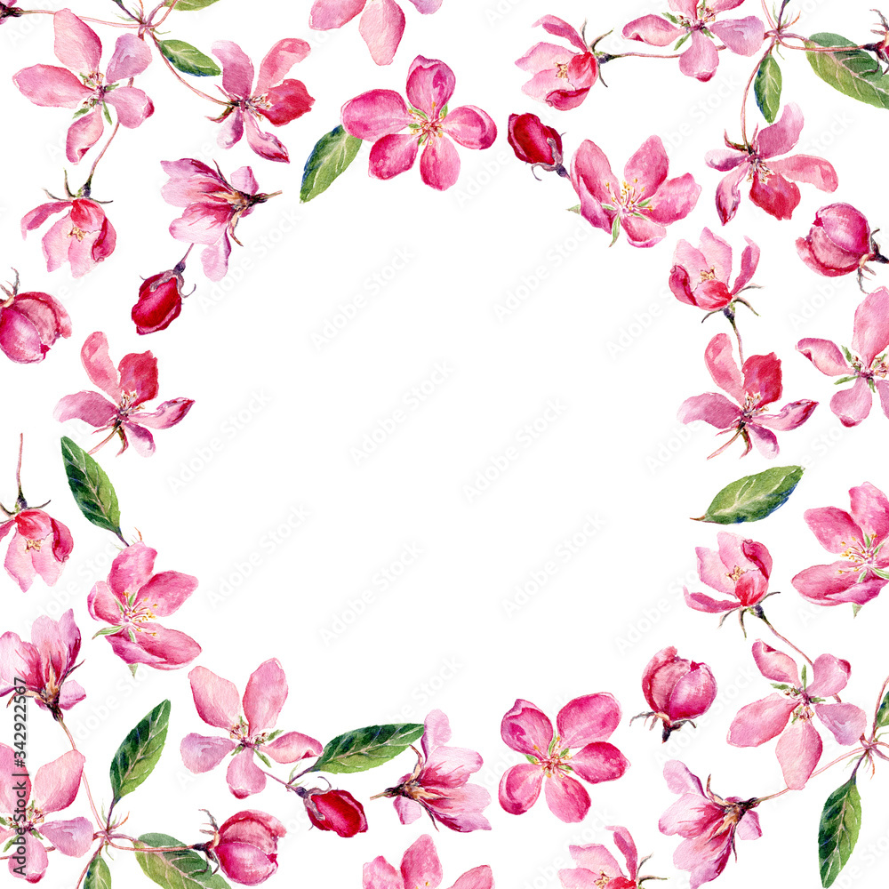 Hand drawn round frame of watercolor Apple Blossom. Watercolor illustration wreath of apple and cherry flowers