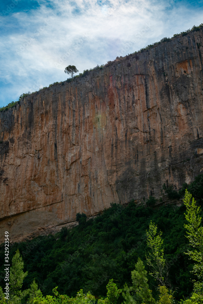 Muro de piedra rocoso zona de escalada con un árbol en el borde de la cima