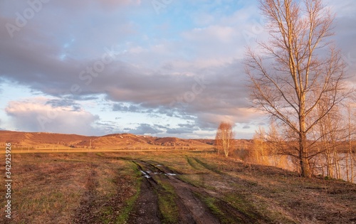 nature  road