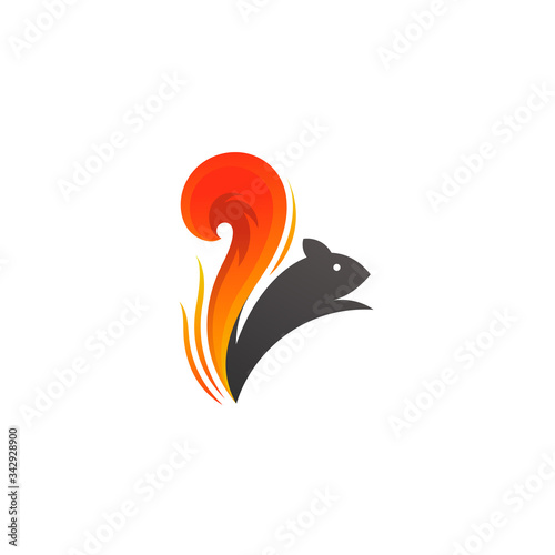 Squirrel logo , Vector illustration
