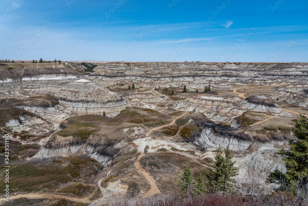 View of the popular Horseshoe Canyon in late spring, Canadian Badlands in summer, Drumheller, Alberta, Canada View of the popular Horseshoe Canyon in late spring, Canadian Badlands in summer, Drumheller, Alberta, Canada