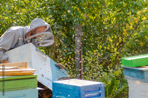 beekeeper carries unit of beehive from styrofoam. Summer work on apiary. hive stand for honey harvesting. Expansion of bee colonies.