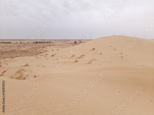 Sand dunes in desert on Algeria