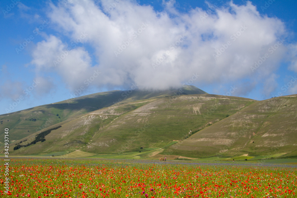 CASTELLUCCIO DI NORCIA AND ITS FLOWERING