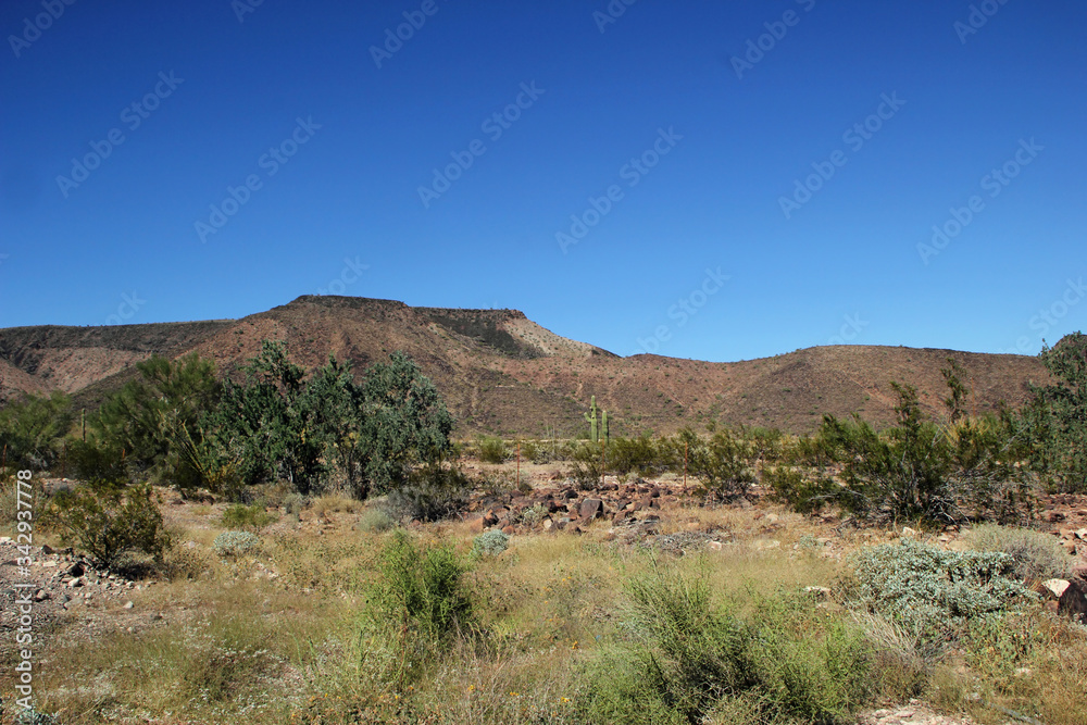 Desert Landscape with Mountains of the Western United States