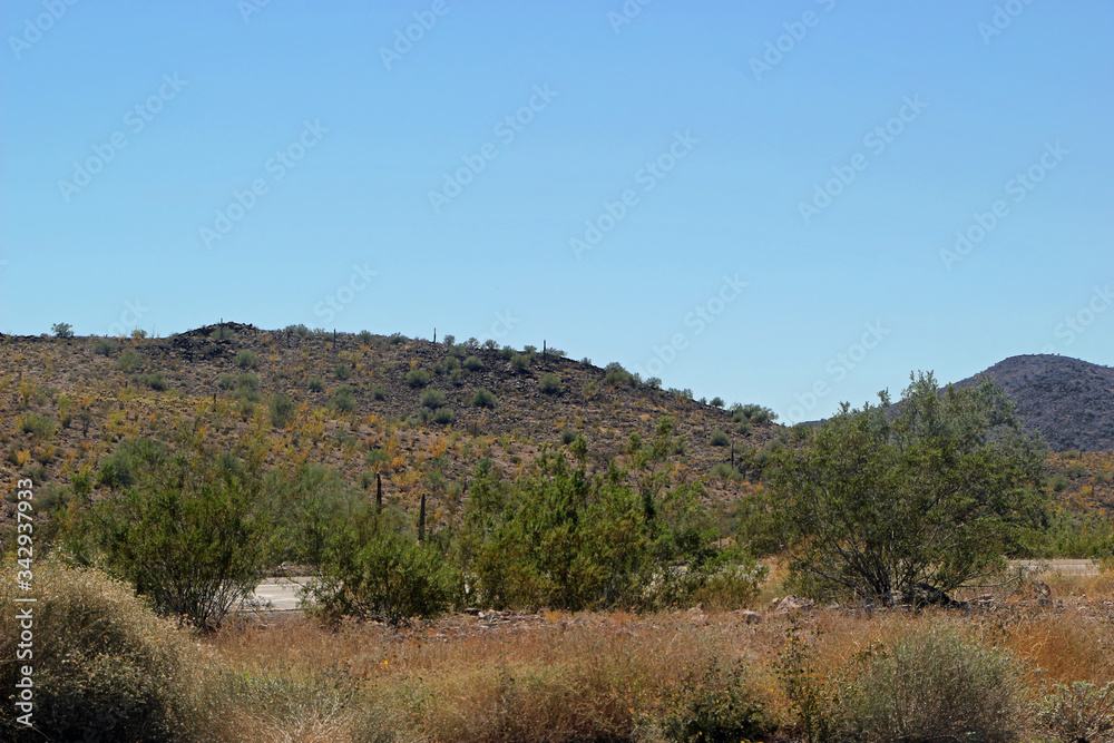 Desert Landscape with Mountains of the Western United States