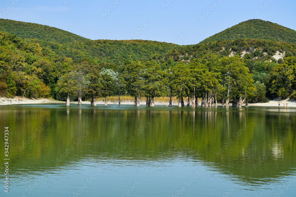 Fototapeta premium Lake Sukko, Krasnodar territory, Russia. Cypress grove in the waters of the lake. A fantastically beautiful lake in the mountains.