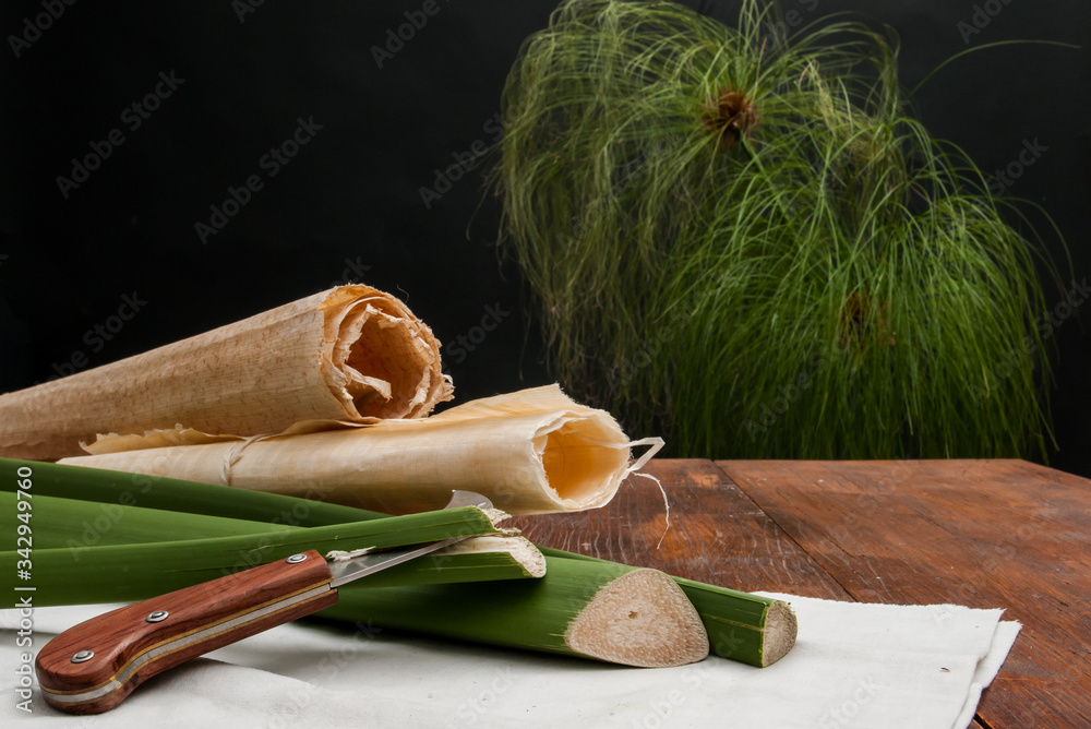 The making of papyrus paper: rolled up papyrus sheets, stems of a plant and the typical knife