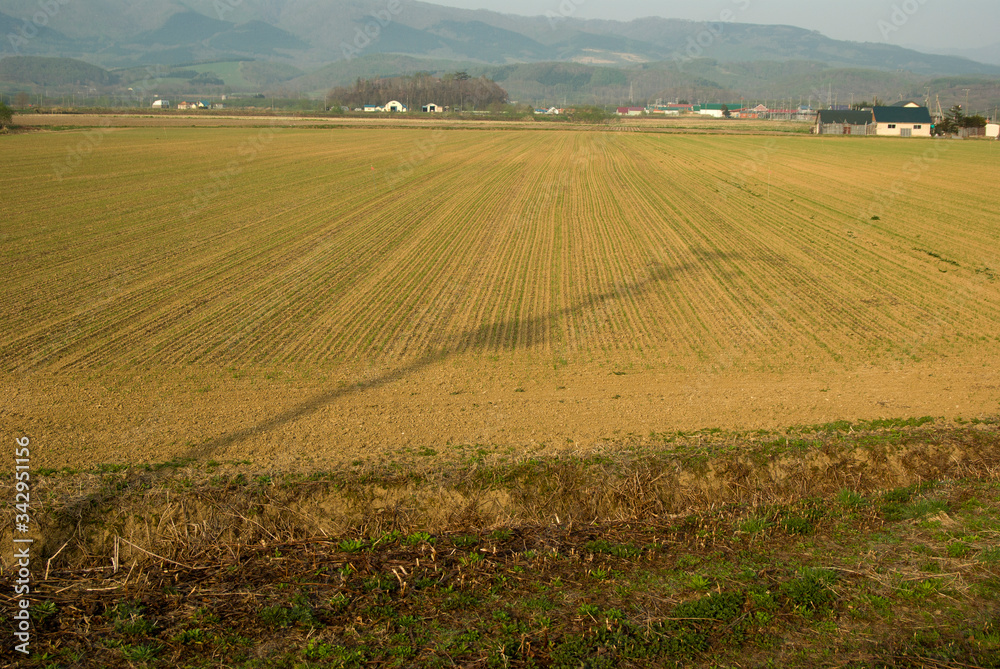北海道田舎の広い農場春景色