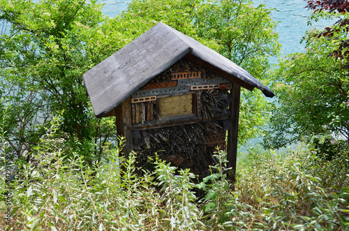 Bee House with Roof Constructed in the Brush by a River