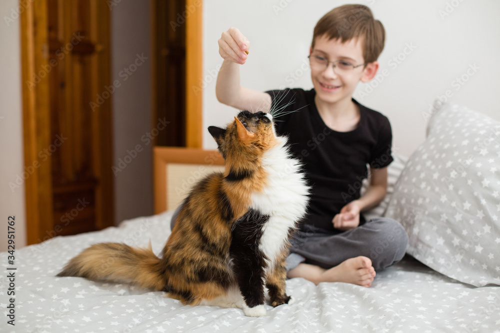 Boy playing with cat on bed. Staying at home. Pet therapy. Spending a time with a pet. Feeding of cat. Happy time together with friend pet. Excited Smiling boy Enjoying With His cat. Social distancing