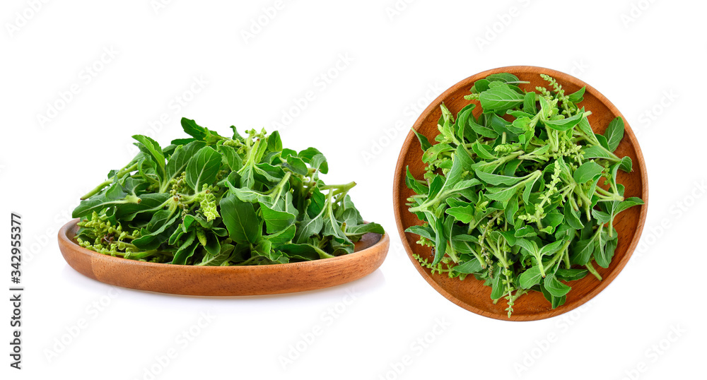 Holy basil leaves in wooden plate on white background Holy basil leaves in wooden plate on white background