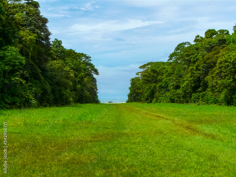 Corcovado National Park, Osa Peninsula, Costa Rica