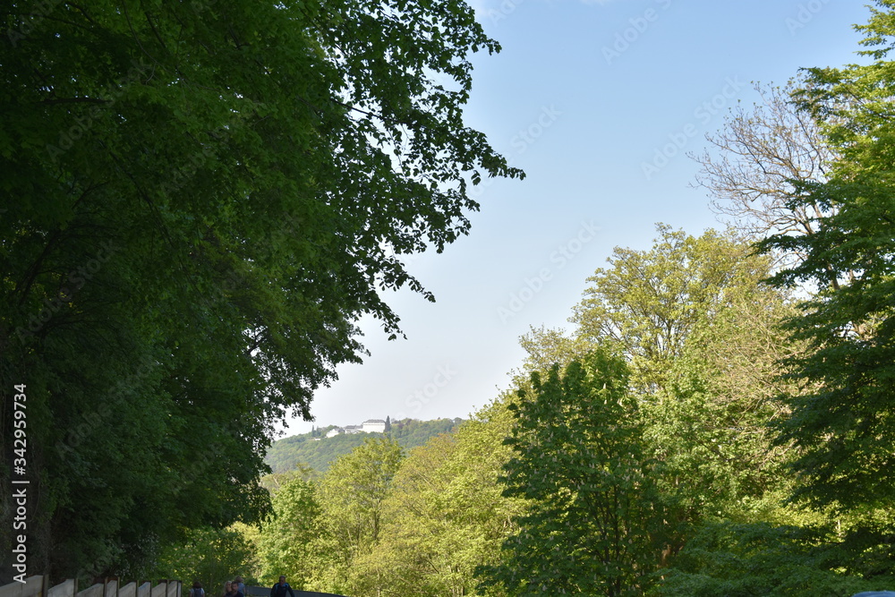 Fototapeta premium Königswinter Drachenfels