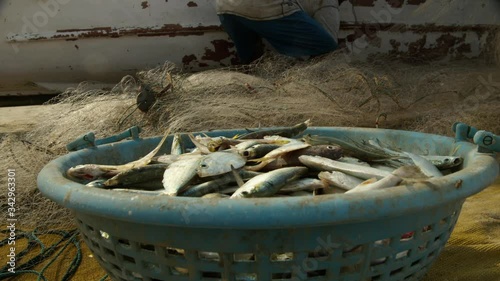 A basket with the catch of Indian fishermen on the seashore by the boat. Goa.