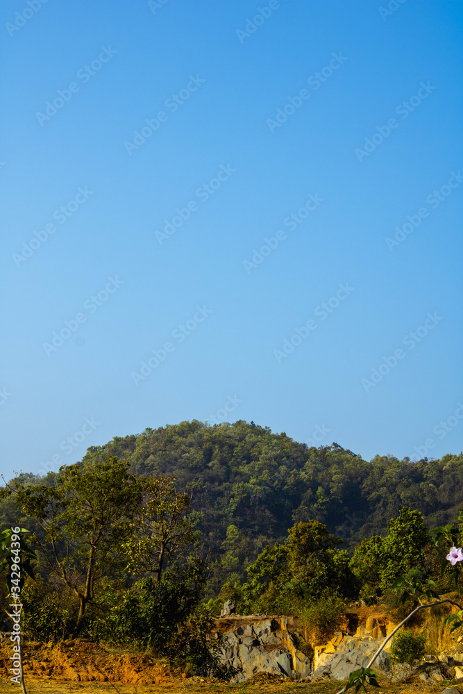 Obraz premium landscape with trees