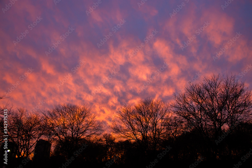 Fototapeta premium Nature Backdrop