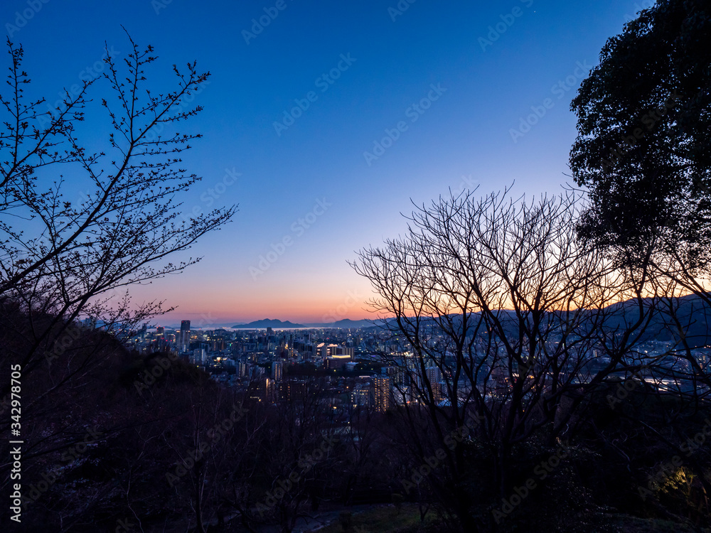 Fototapeta premium 展望台