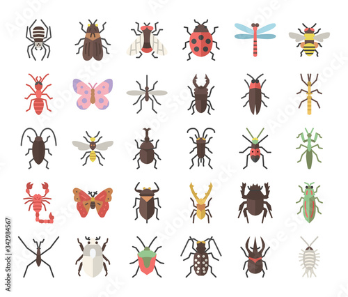 insect flat vector icons