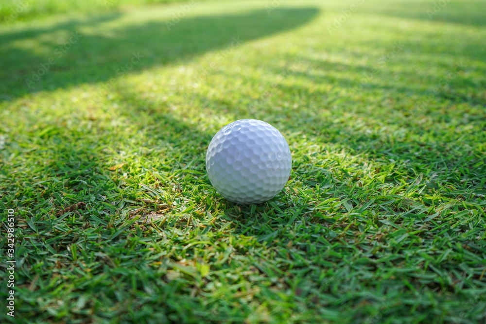 Golf ball on green grass sunset background Golf ball on green grass sunset background