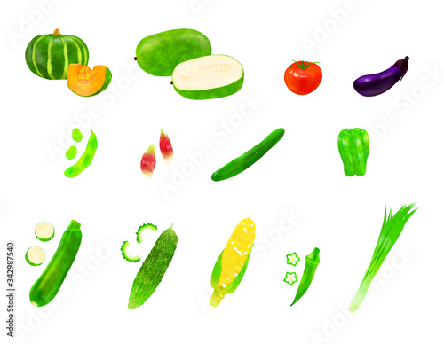 夏野菜セット