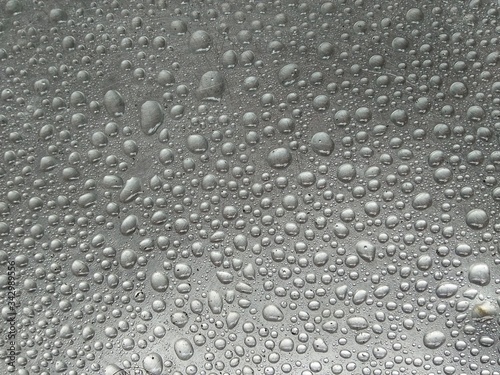 Wallpaper Mural drops of water Torontodigital.ca